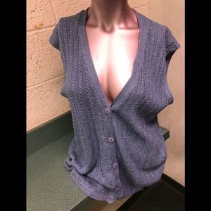 Tally Ho Silk Blend Sweater Vest, Dusty Blue, Button Down, sz L